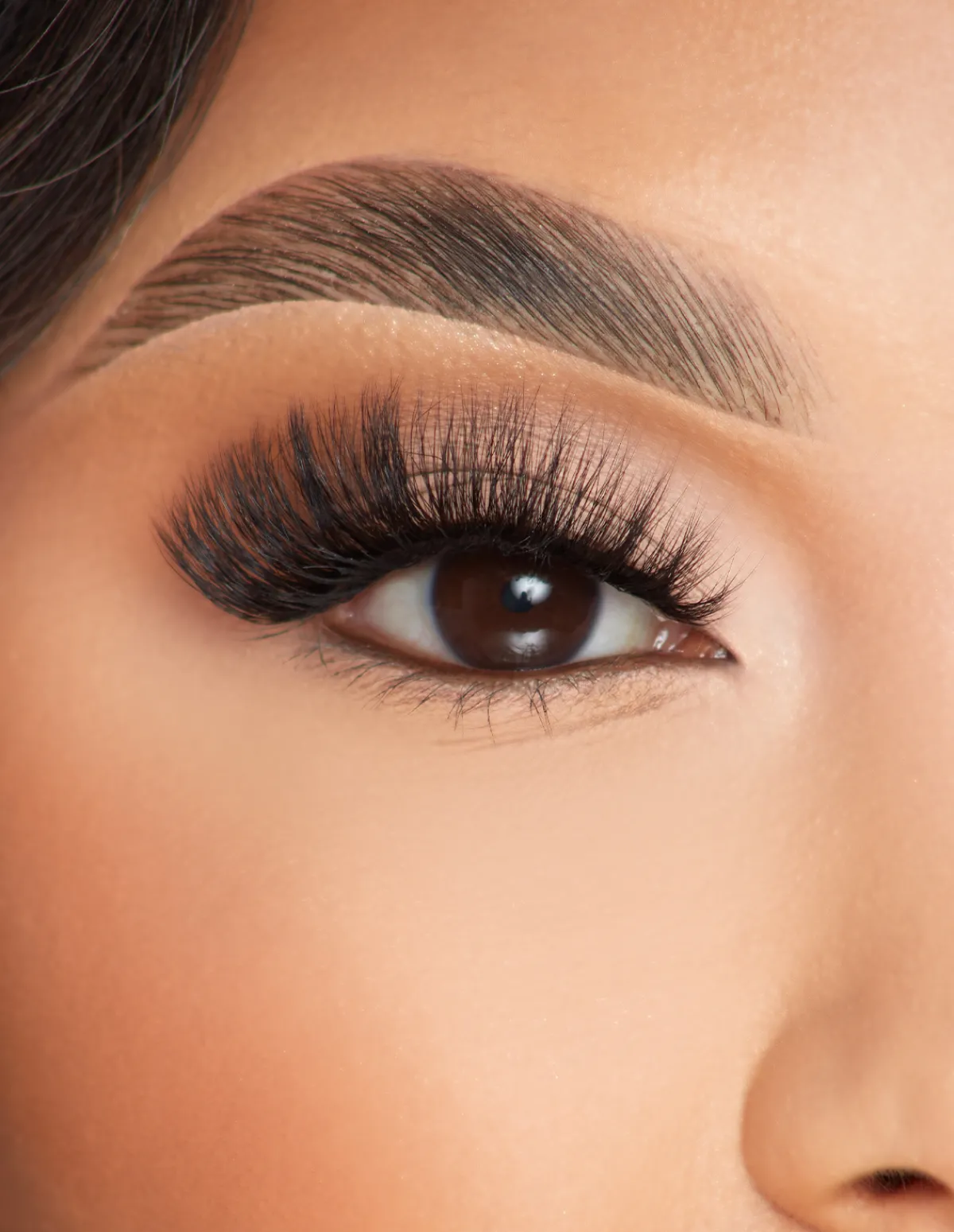 P. Louise P.Louise Lashes - Live, Love, Lashed- Lashes
